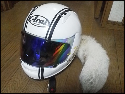 ヘルメットの猫耳の取り付け方 他にも色々あるディフューザーの世界 オートバイのある生活 Life With Motorcycles