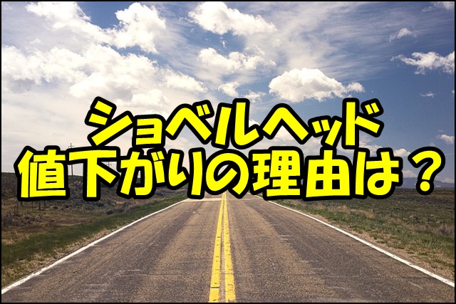 ショベルヘッドの値下がり理由3選！購入時の失敗を防ぐ4つの対策